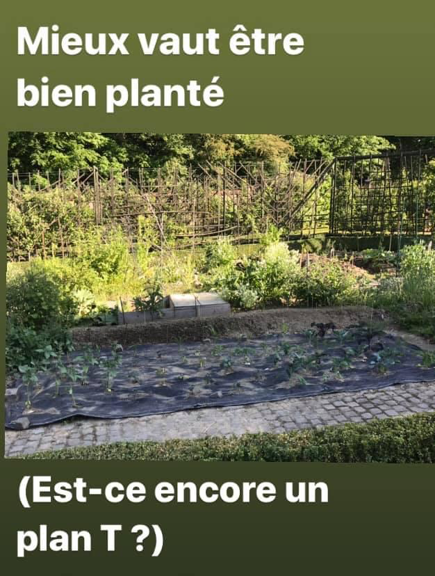 Seconde illustration du poème Au parc