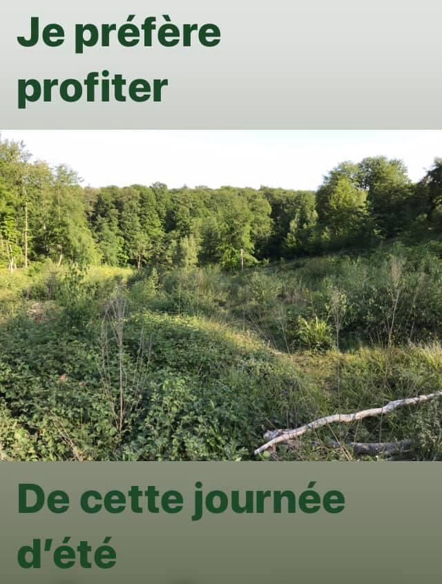 Seconde illustration du poème Au parc