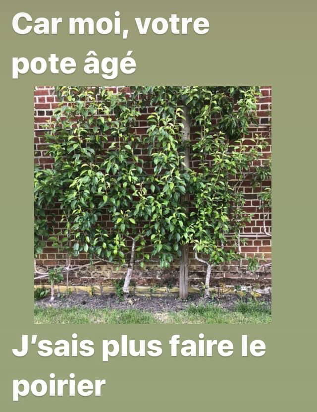 Seconde illustration du poème Au parc